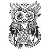 Lady Owl